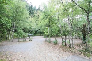 オートキャンプ場「赤倉の森」キャンプサイト
